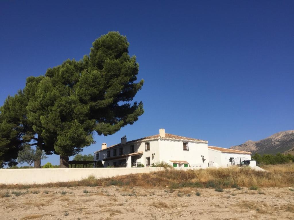 B&B Cortijo El Ciruelo Chirivel ภายนอก รูปภาพ
