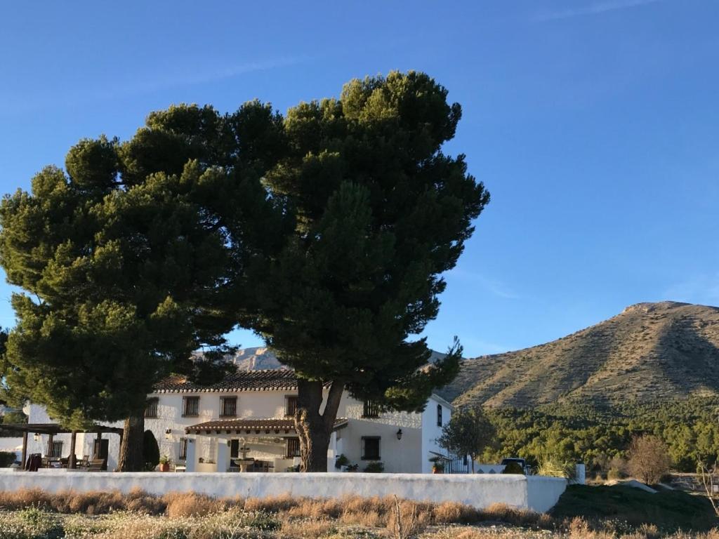 B&B Cortijo El Ciruelo Chirivel ภายนอก รูปภาพ