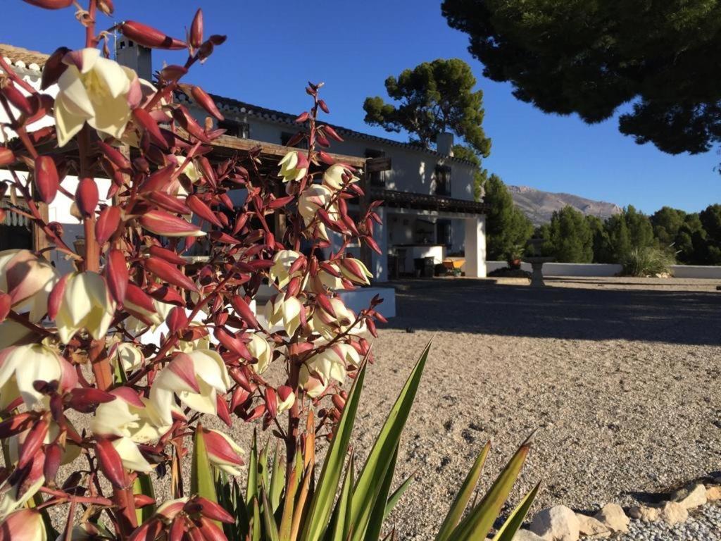B&B Cortijo El Ciruelo Chirivel ภายนอก รูปภาพ